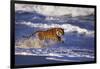 Bengal Tiger Running along the Beach-DLILLC-Framed Photographic Print