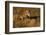 Bengal Tiger Running in Field-DLILLC-Framed Photographic Print