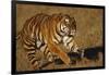 Bengal Tiger Running in Field-DLILLC-Framed Photographic Print