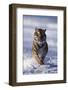 Bengal Tiger Running in Surf-DLILLC-Framed Photographic Print