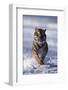 Bengal Tiger Running in Surf-DLILLC-Framed Photographic Print