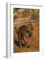 Bengal Tiger Running-DLILLC-Framed Photographic Print