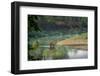 bengal tiger standing in river, whipping water with tail, nepal-karine aigner-Framed Photographic Print