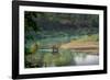 bengal tiger standing in river, whipping water with tail, nepal-karine aigner-Framed Photographic Print