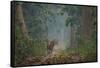 bengal tiger standing on forest path, nepal-karine aigner-Framed Stretched Canvas