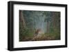 bengal tiger standing on forest path, nepal-karine aigner-Framed Photographic Print