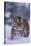 Bengal Tiger Walking in Snow-DLILLC-Stretched Canvas