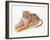 Bengal Tiger-Sean Bollar-Framed Collectable Print