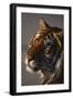 Bengal Tiger-DLILLC-Framed Premium Photographic Print