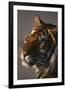 Bengal Tiger-DLILLC-Framed Premium Photographic Print