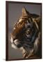 Bengal Tiger-DLILLC-Framed Premium Photographic Print