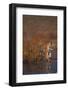 Bengal Tiger-DLILLC-Framed Photographic Print