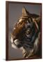 Bengal Tiger-DLILLC-Framed Photographic Print