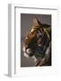 Bengal Tiger-DLILLC-Framed Photographic Print