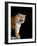 Bengal Tiger-Lipik-Framed Photographic Print