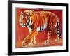 Bengal Tiger-Mark Adlington-Framed Giclee Print