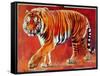 Bengal Tiger-Mark Adlington-Framed Stretched Canvas