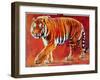 Bengal Tiger-Mark Adlington-Framed Giclee Print