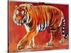 Bengal Tiger-Mark Adlington-Stretched Canvas