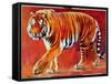 Bengal Tiger-Mark Adlington-Framed Stretched Canvas