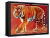 Bengal Tiger-Mark Adlington-Framed Stretched Canvas