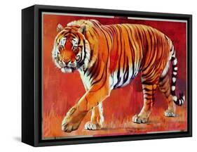 Bengal Tiger-Mark Adlington-Framed Stretched Canvas