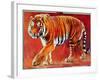 Bengal Tiger-Mark Adlington-Framed Giclee Print