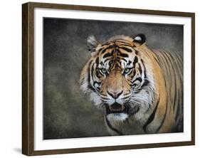 Bengal Tiger-Jai Johnson-Framed Giclee Print