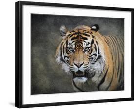 Bengal Tiger-Jai Johnson-Framed Giclee Print