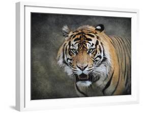 Bengal Tiger-Jai Johnson-Framed Giclee Print