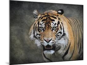 Bengal Tiger-Jai Johnson-Mounted Giclee Print