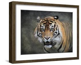 Bengal Tiger-Jai Johnson-Framed Giclee Print