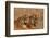 Bengal Tigers Lying in Field-DLILLC-Framed Photographic Print