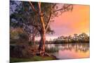 Wood Mount