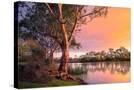 Stretched Canvas