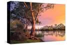 Stretched Canvas