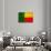 Benin Flag Design with Wood Patterning - Flags of the World Series-Philippe Hugonnard-Art Print displayed on a wall