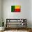 Benin Flag Design with Wood Patterning - Flags of the World Series-Philippe Hugonnard-Mounted Art Print displayed on a wall