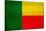 Benin Flag Design with Wood Patterning - Flags of the World Series-Philippe Hugonnard-Mounted Art Print