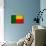 Benin Flag Design with Wood Patterning - Flags of the World Series-Philippe Hugonnard-Mounted Art Print displayed on a wall