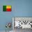 Benin Flag Design with Wood Patterning - Flags of the World Series-Philippe Hugonnard-Mounted Art Print displayed on a wall