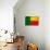 Benin Flag Design with Wood Patterning - Flags of the World Series-Philippe Hugonnard-Mounted Art Print displayed on a wall