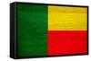 Benin Flag Design with Wood Patterning - Flags of the World Series-Philippe Hugonnard-Framed Stretched Canvas