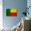 Benin Flag Design with Wood Patterning - Flags of the World Series-Philippe Hugonnard-Stretched Canvas displayed on a wall