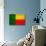 Benin Flag Design with Wood Patterning - Flags of the World Series-Philippe Hugonnard-Art Print displayed on a wall