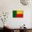 Benin Flag Design with Wood Patterning - Flags of the World Series-Philippe Hugonnard-Art Print displayed on a wall