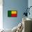 Benin Flag Design with Wood Patterning - Flags of the World Series-Philippe Hugonnard-Framed Stretched Canvas displayed on a wall