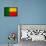 Benin Flag Design with Wood Patterning - Flags of the World Series-Philippe Hugonnard-Framed Stretched Canvas displayed on a wall