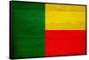 Benin Flag Design with Wood Patterning - Flags of the World Series-Philippe Hugonnard-Framed Stretched Canvas