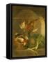 Framed Canvas